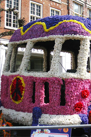 flower-carnival